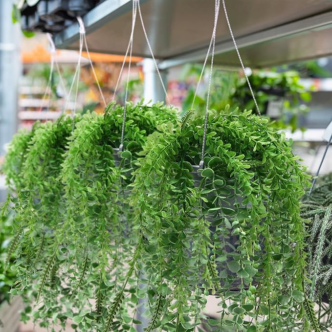 Tioncy 50 Pcs Plastic Hanging Planter Round Hanging Pot - Image 7