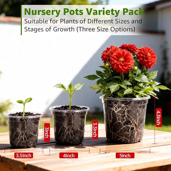 MIXC Clear Nursery Pots with Drainage Holes, 5/4/3.5 Inch Reinforced - Image 5