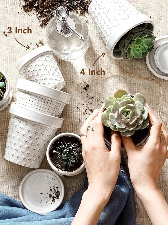 LE TAUCI 3 Inch Mini Succulent Pots - Image 7