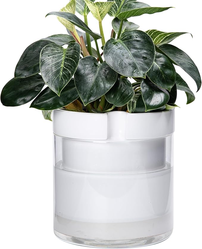 Phoenix Vine 10 Inch Self Watering Planter by Phoenix+Vine