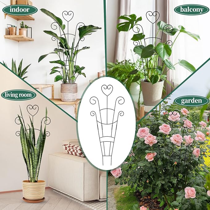 30 Inch Plant Trellis for Climbing Plants Indoor, Outdoor Metal Garden Trellis - Image 7
