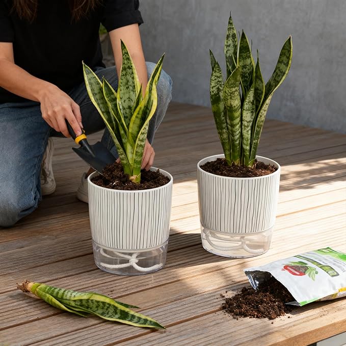 6 Pack Self Watering Pots for Indoor Plants, Flower Planters - Image 6