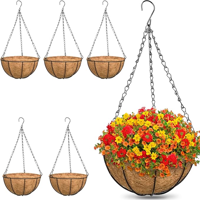 ZeeDix 6 Pack 12 Inch Metal Round Hanging Planter Basket by ZeeDix