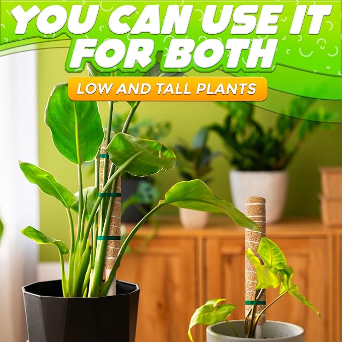 Moss Pole 26.4" Small Monstera Plant Support 2 Pcs Set - Image 8