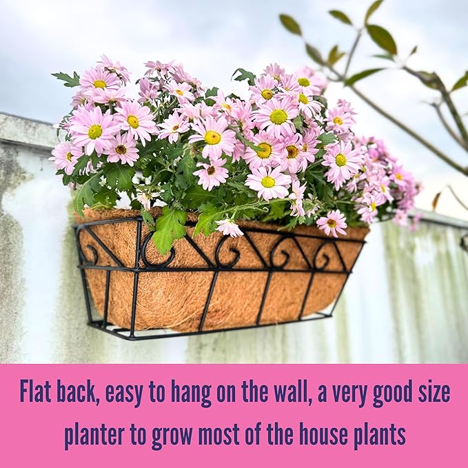 LaLaGreen Wall Mounted Planters - Image 7