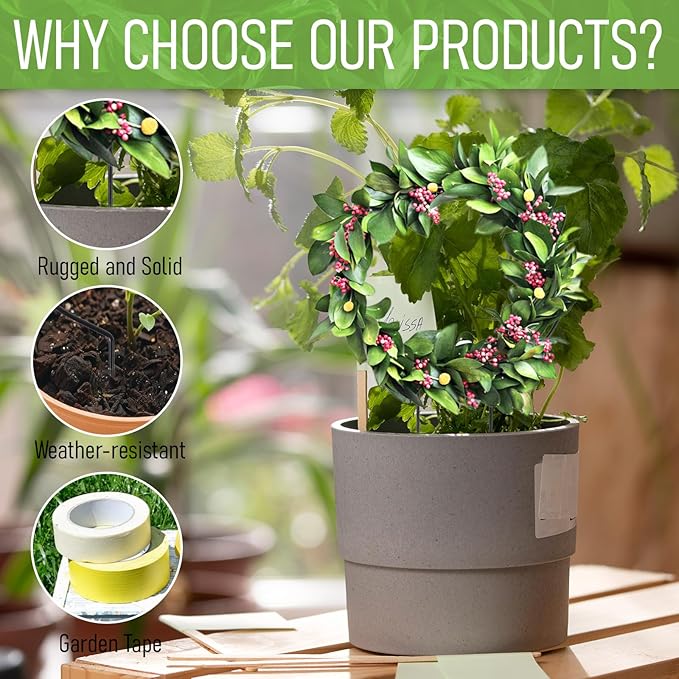 2 Pack Round Plant Trellis for Indoor Potted Plants, Acrylic Small Trellis for - Image 3