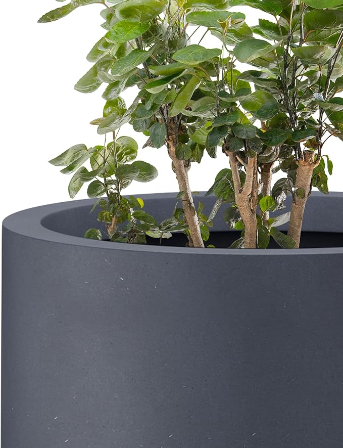 Kante 24 Inch Tall Round Concrete Planter, 2 Pack Large Indoor Outdoor Plant - Image 8