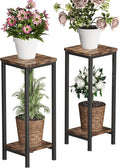 Homeiju 2-Pack Plant Stand Indoor, 2 Tier Wood Corner Plant Stand, Modern by Homeiju