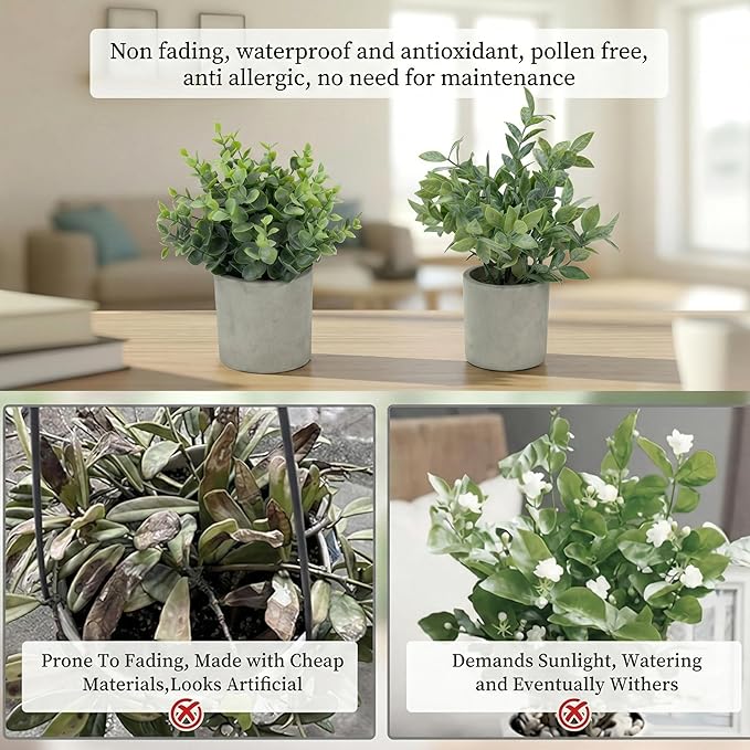 Fake Plants, 5 Pack Artificial Eucalyptus & Greenery in Cement Pots - Image 6