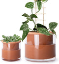 Phoenix Vine 4 Inch 6 Inch Self Watering Plants Pots, Design Terracotta Pots by Phoenix+Vine