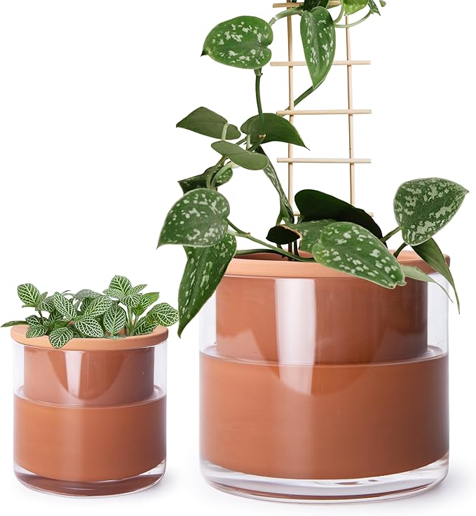 Phoenix Vine 4 Inch 6 Inch Self Watering Plants Pots, Design Terracotta Pots by Phoenix+Vine