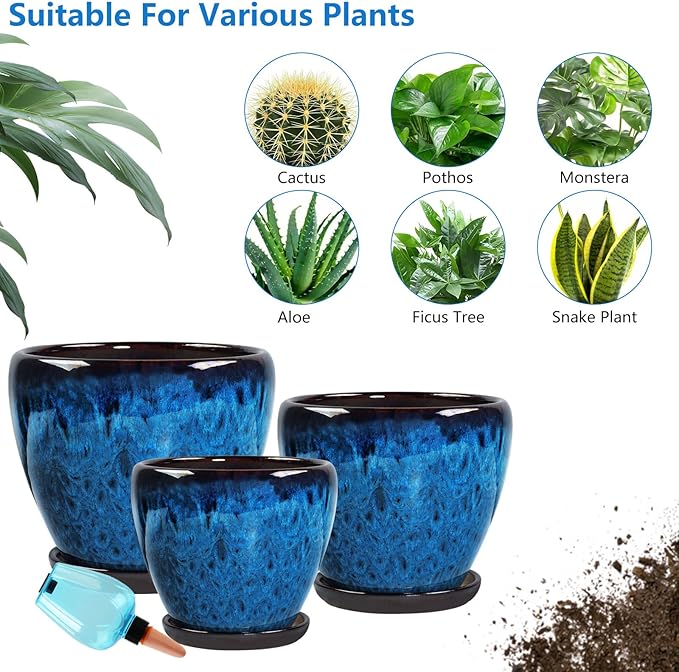 Ceramic Pots for Plant with Self Watering Globes, 8 inch Planters for Indoor - Image 5
