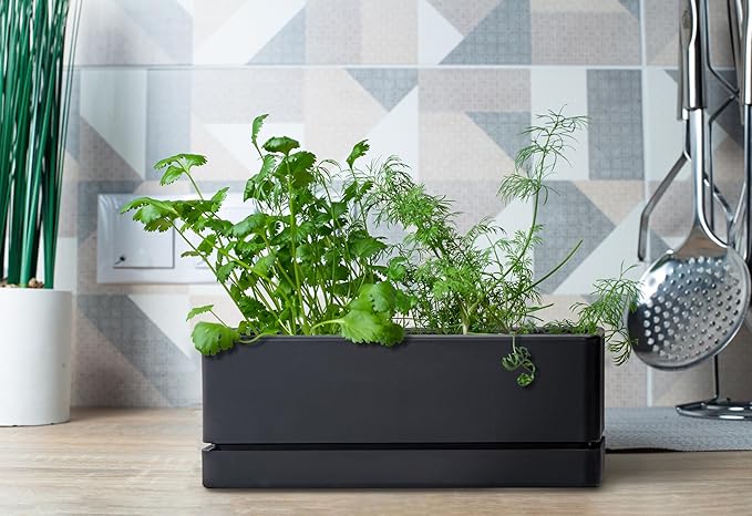 D'vine Dev 12 Inch Window Box Planter, Rectangle Plastic Herb Planter - Image 3
