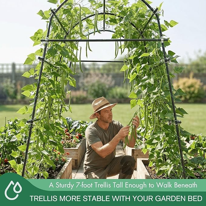 7ft Garden Arch Trellis for Climbing Plants Outdoor-Heavy Duty Metal Cucumber - Image 3
