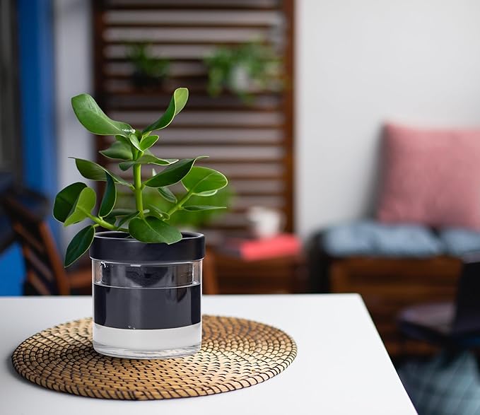 Phoenix Vine 4 Inch Self Watering Terracotta Planter - Image 6