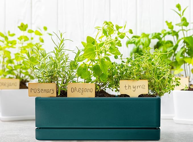 D'vine Dev 12 Inch Window Box Planter, Rectangle Plastic Herb Planter - Image 7