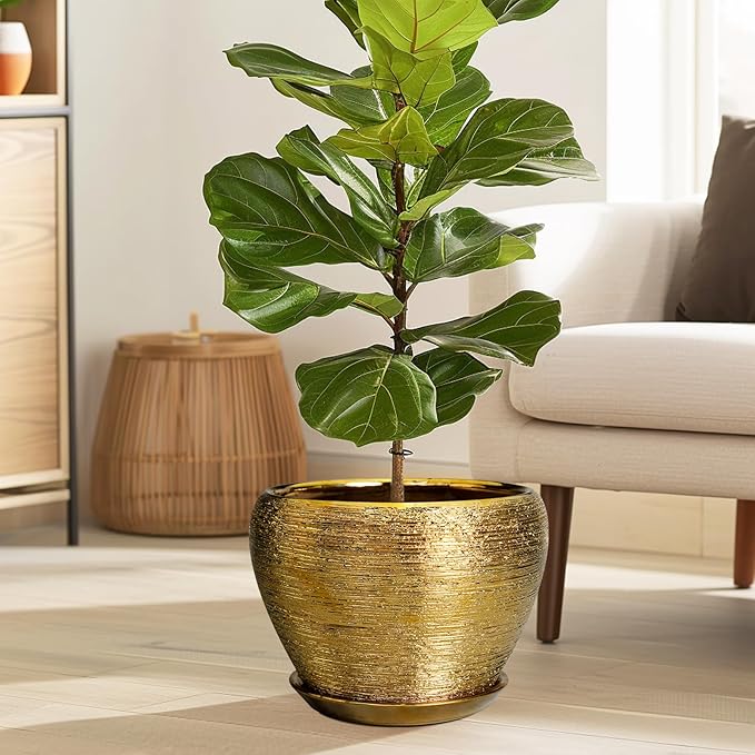 Ceramic Planter 10 Inch - Image 2