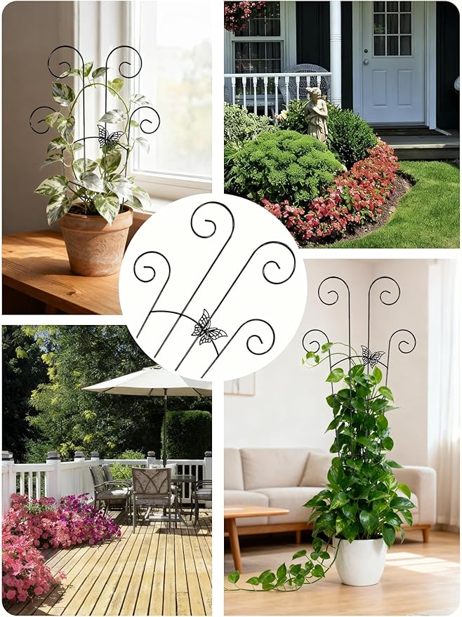Metal Butterfly Trellis for Climbing Plants Indoor, 4 Pack 30 Inch Taller - Image 5
