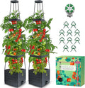 2-Pack Tomato Planter with Trellis, Tomato Cages by MQHUAYU