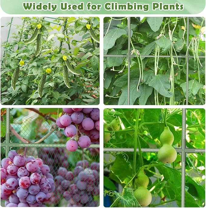 Cucumber Trellis for Raised Bed, Garden Arch Trellis for Climbing Plants Outdoor - Image 6