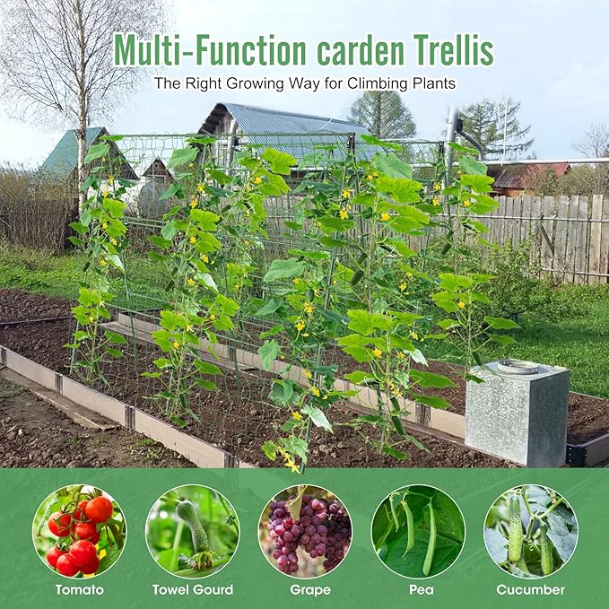 55" H x 36" W Cucumber Trellis for Raised Bed Garden, Cucumber Trelli for - Image 5