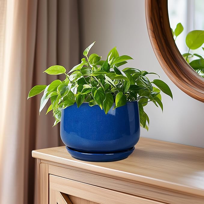G EPGardening 6 Inch Plant Pot - Image 7