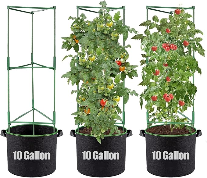 ANPHSIN 3 Sets Tomato Cages by ANPHSIN