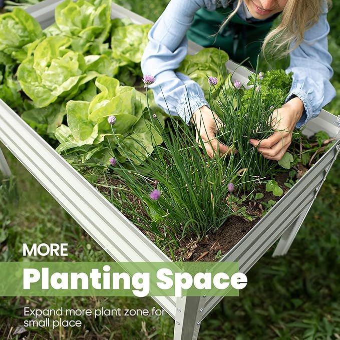 KING BIRD Raised Garden Bed - Image 5