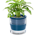 D'vine Dev 6 Inch Design Self Watering Planter by DvineDevPlanterPotsandStand