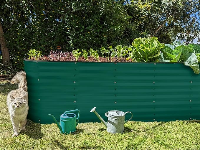 Plant & Plot Galvanized Raised Garden Beds Outdoor // 6×2×2 ft Planter Raised - Image 6