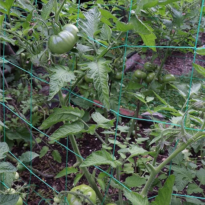 Trellis Netting for Climbing Plants - Image 5