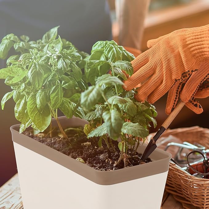 6 Set Window Herb Planter Box Self Watering Plant Pots 10.6 Inch Rectangular - Image 5