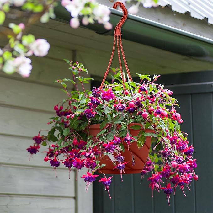 Tioncy 50 Pcs Plastic Hanging Planter Round Hanging Pot - Image 5