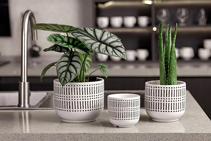 Docrin 3-Pack Ceramic Planters Set - Image 4