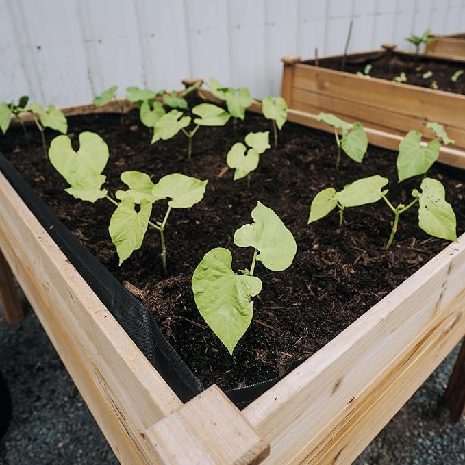 Backyard Expressions 48"x34" Raised Garden Bed - Image 4
