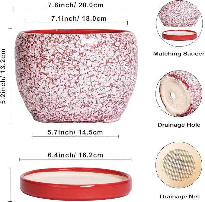 SQOWL Ceramic Pots for Plants - Image 3