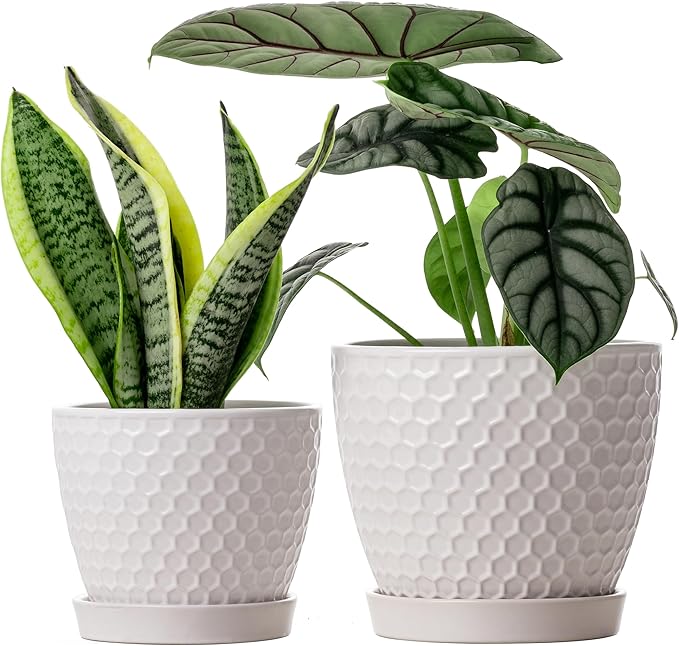 Docrin Ceramic Plant Pots Set of 2, High-Fired Clay Indoor Planters by DOCRIN