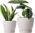 Docrin Ceramic Plant Pots Set of 2, High-Fired Clay Indoor Planters by DOCRIN