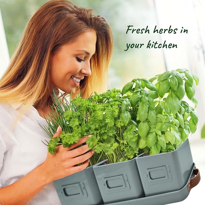 volila Herb Planter Indoor - Image 4