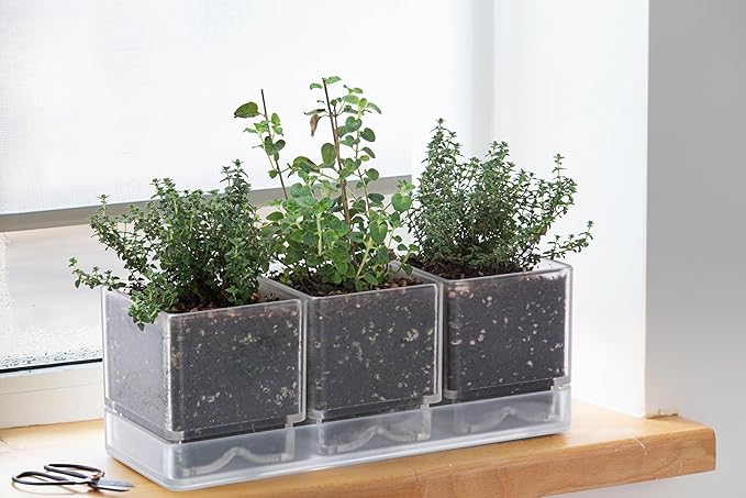 D'vine Dev Herb Garden Planter Set, Plastic Plant Pots - Image 7