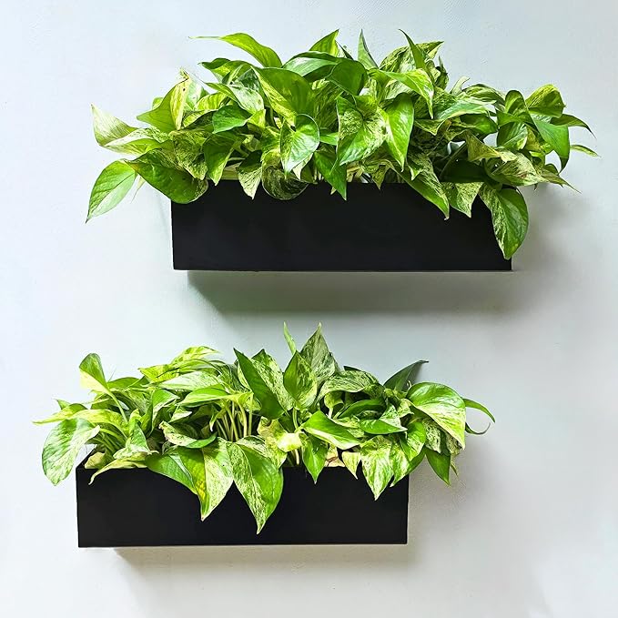 LaLaGreen Wall Planter Rectangular Metal Hanging Flower Pot by L%C3%A1L%C3%A1Green