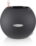 Lechuza Puro Color 20 Slate, Self-Watering Small Indoor Planter, D7.9 H6.3 in by LECHUZA