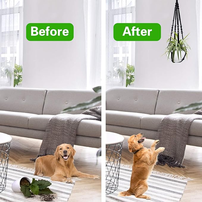 Augshy Macrame Hanging Planter, 2 Pack Hanging Planters - Image 6