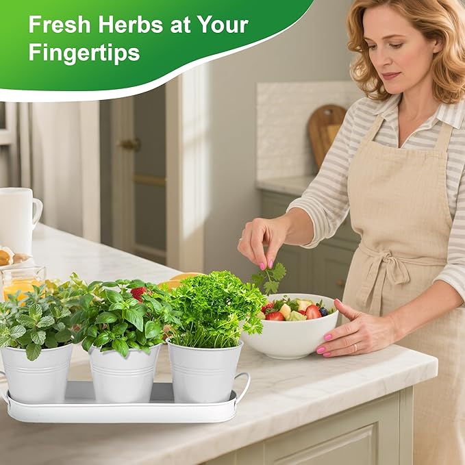 Herb Garden Planter Indoor Kit – 6 Metal Pots - Image 2