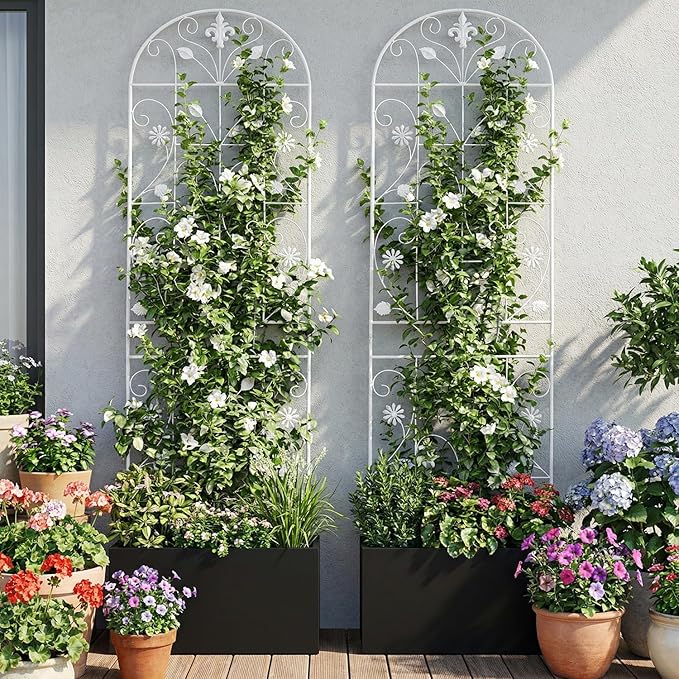Trellis for Climbing Plants Outdoor, （2 Pack 70.8x19.6-inch）, Generic Metal - Image 2