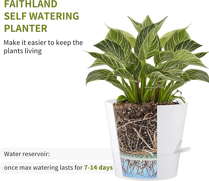 FaithLand 6-Pack White Self Watering Planter Pots - Image 3