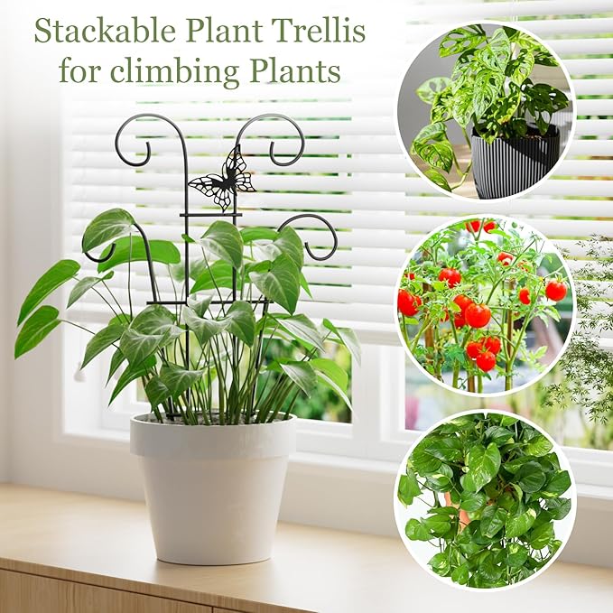 Indoor Plant Trellis for Climbing Plants, Stackable Garden Trellis for Potted - Image 5