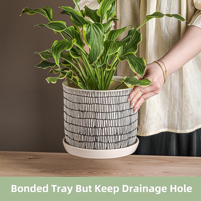 8 Inch Plant Pot: Ceramic Planter - Image 3