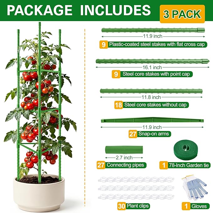 WAENLIR 3-Pack Tomato Cage for Garden, Plant Stakes for Pots, Durable Tomato - Image 2