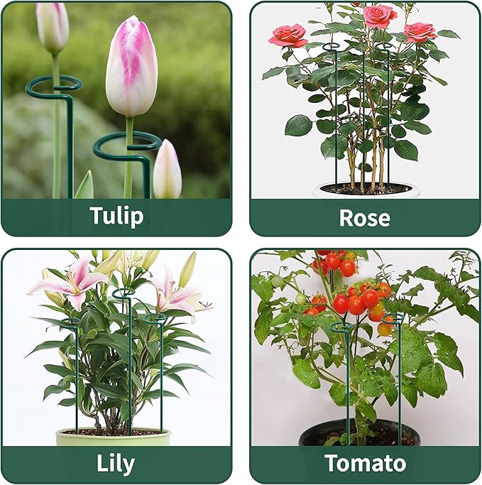 36” Tall Plant Stakes, 12 Pack Plant Support Stakes, 6mm Heavy-Duty Metal - Image 6